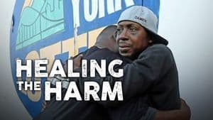 Healing the Harm: Changing Youths' Lives Through Mentorship