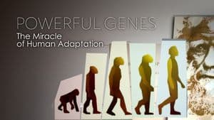 Powerful Genes: The Miracle of Human Adaptation